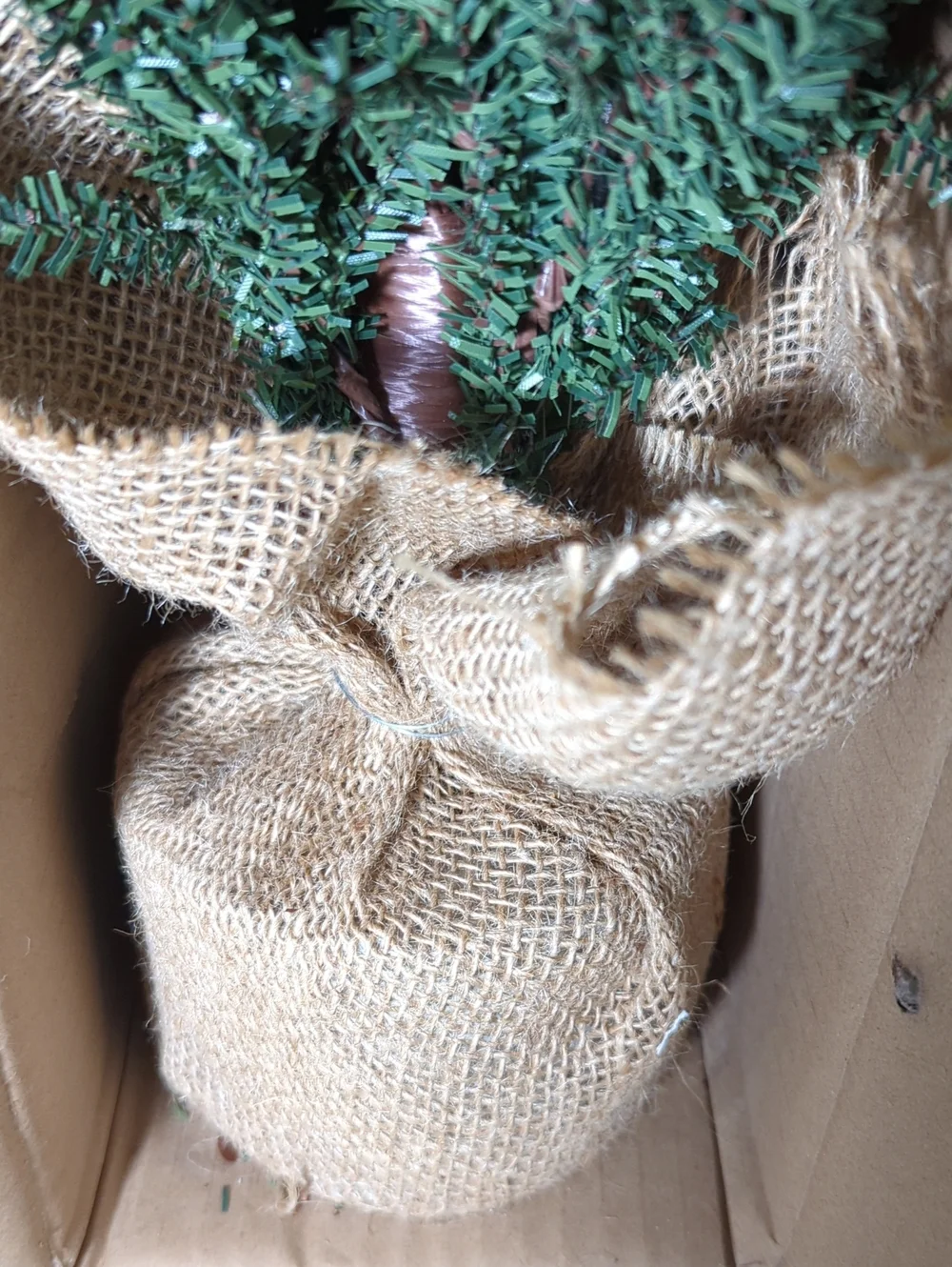 SET OF 2 Vickerman Carmel Pine Decorative Tree w/Cones 30